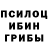 Псилоцибиновые грибы прущие грибы Old_Lurker