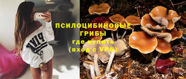 дурь Семёнов