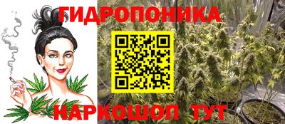 прущий лед Владимир