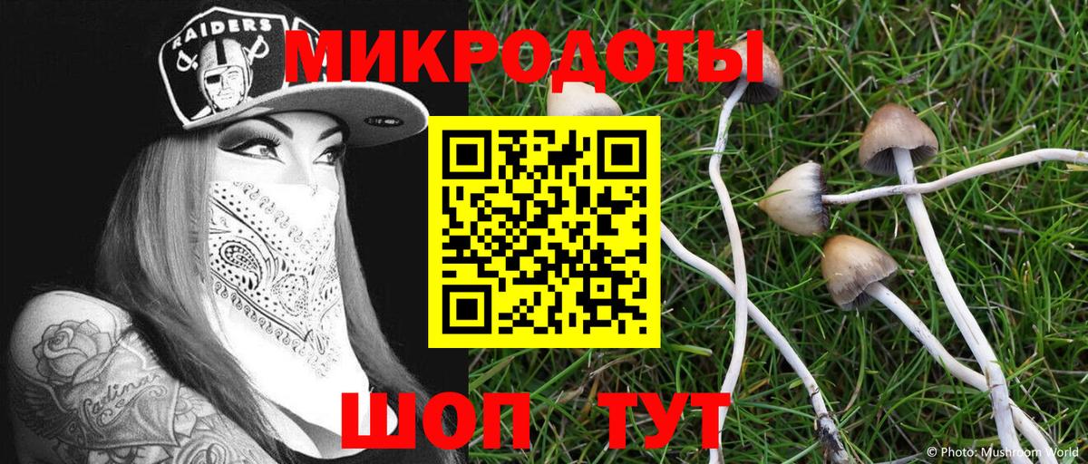 Галлюциногенные грибы мицелий Красноперекопск